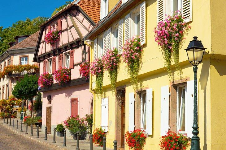 Casas históricas de Ribeauvillé con exhibiciones florales