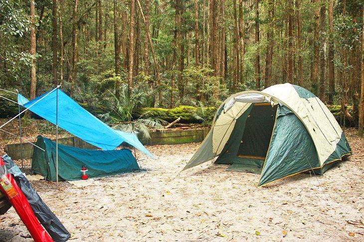 Acampando en el bosque en Fraser Island