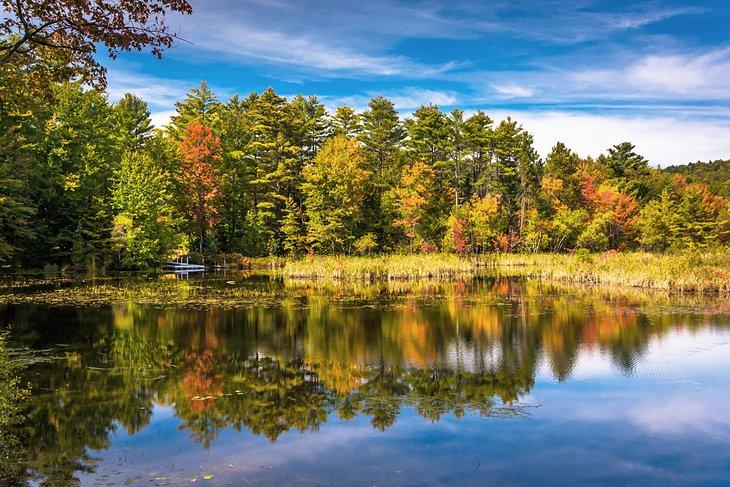 Colores del otoño en North Pond cerca de Bethel, Maine