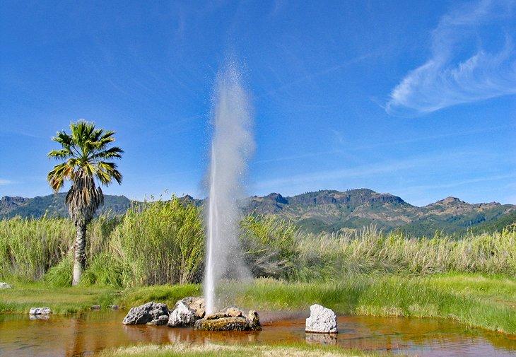 Geyser Little Old Faithful à Calistoga