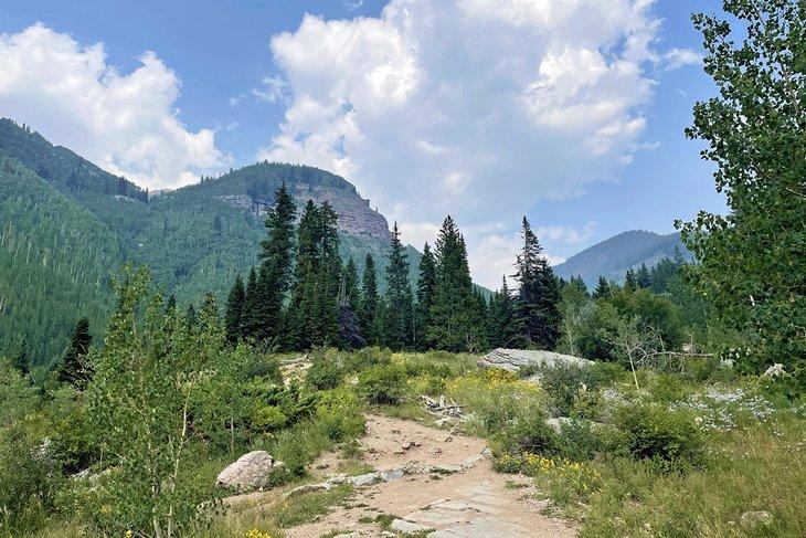 Vail se sitúa entre la Gore Range, dentro del Bosque Nacional White River, hogar de millas de desafiantes senderos de senderismo
