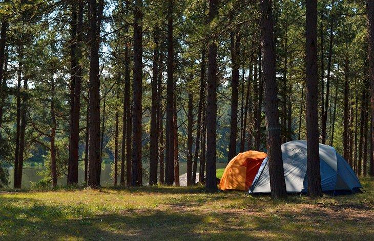 Campamento del Lago Roubaix