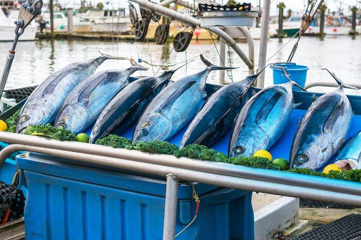 Fischmarkt in Steveston