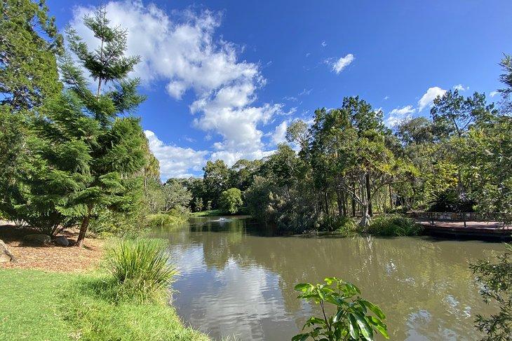 Jardines botánicos de Hervey Bay