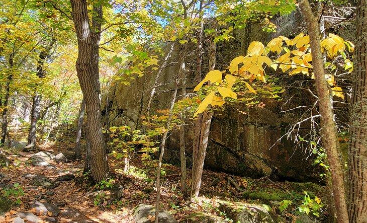 El sendero de senderismo Chikanishing Creek