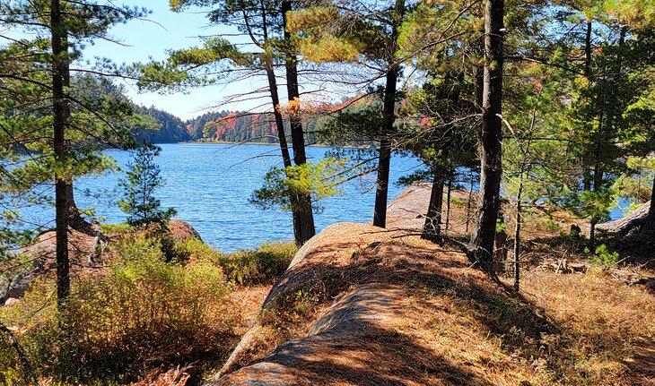 Vista del Lago de los Bosques