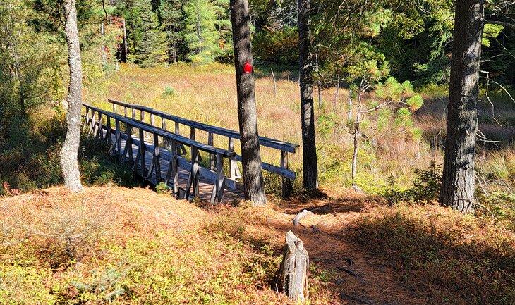 Pasarela en el sendero del Lago de los Bosques
