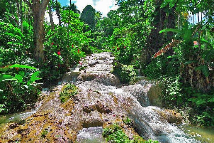 Cascadas Turtle River