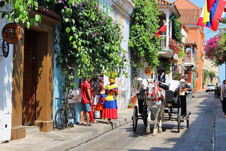 Carroza tirada por caballos en Cartagena