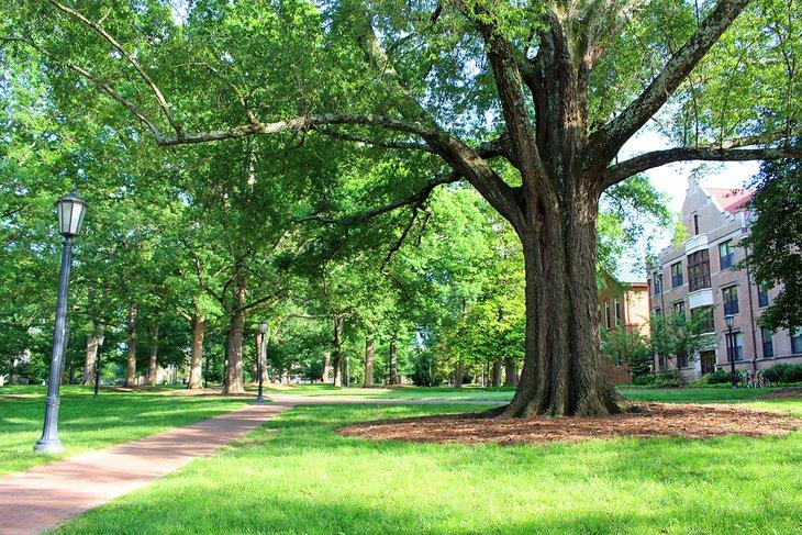Universidad de Carolina del Norte en Chapel Hill