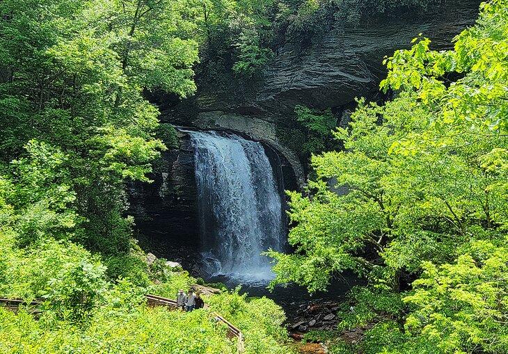 Cascada Looking Glass en el Bosque Nacional Pisgah