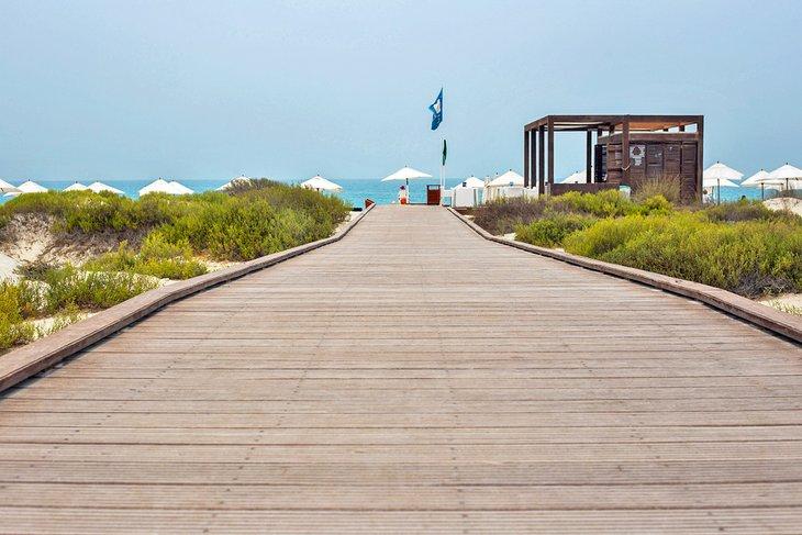 Camino hacia el Saadiyat Beach Club