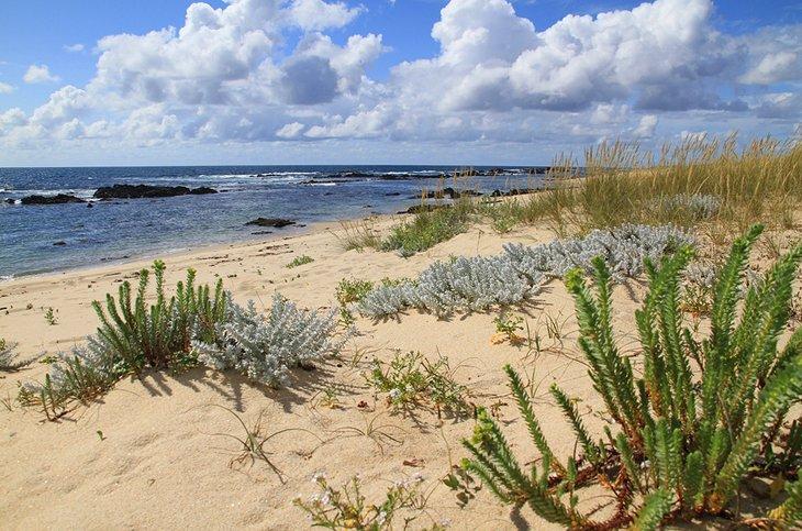Playa de Canto Marinho