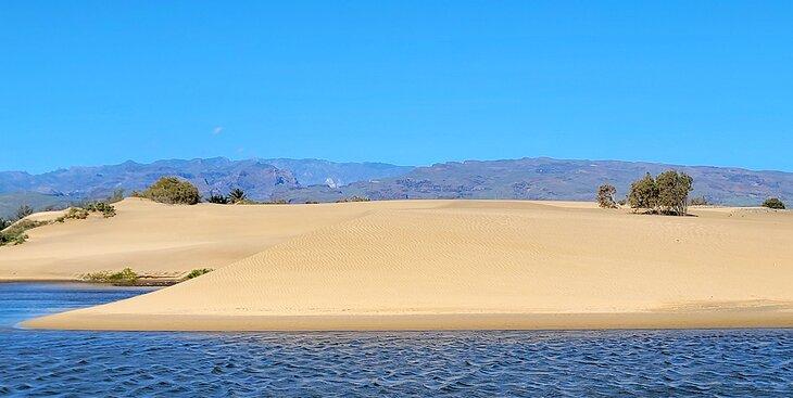 Las Dunas de Maspalomas