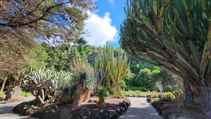 Jardín Botánico