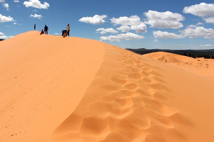 Parc d'État Coral Pink Sand Dunes