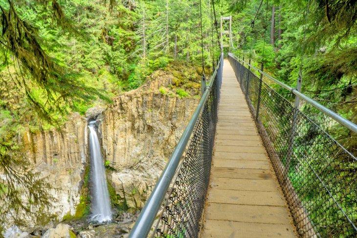 Hängebrücke über den Drift Creek Falls
