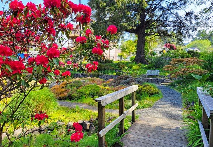 Jardín Connie Hansen