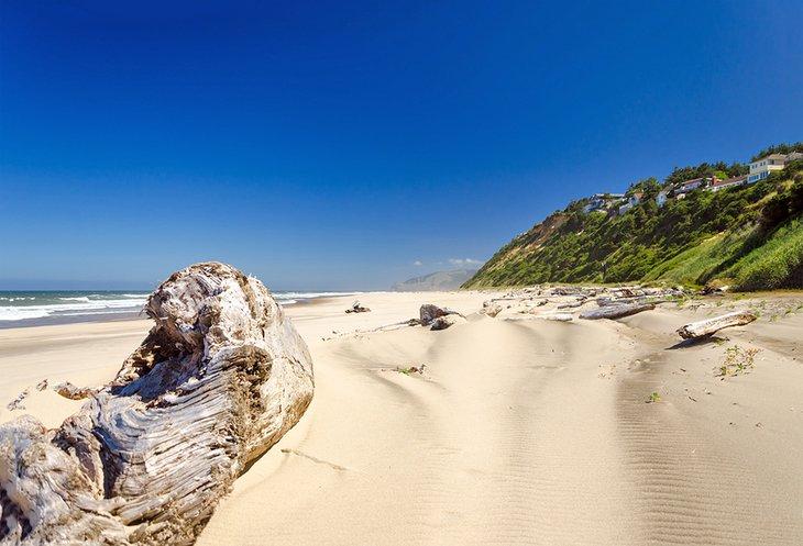 Caza de tesoros en una playa de Lincoln City