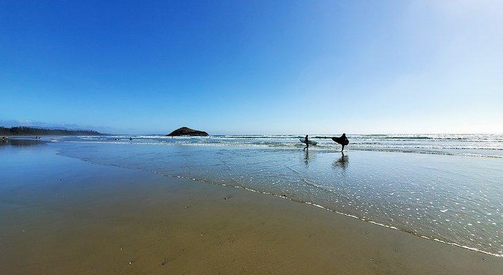Surfistas en Long Beach