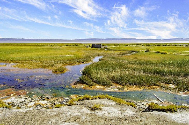 Aguas Termales de Alvord