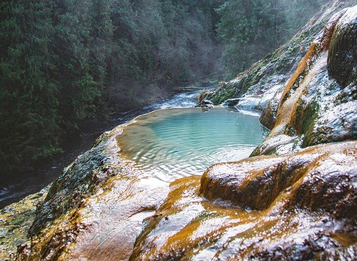 Las Aguas Termales de Umpqua