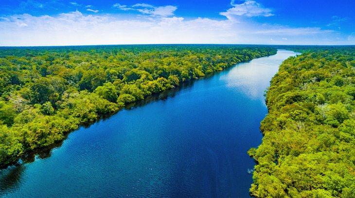 Le fleuve Amazone et la forêt amazonienne au Brésil