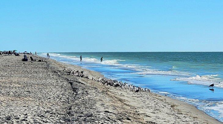 Playa Captiva cerca de Andy Rosse Lane