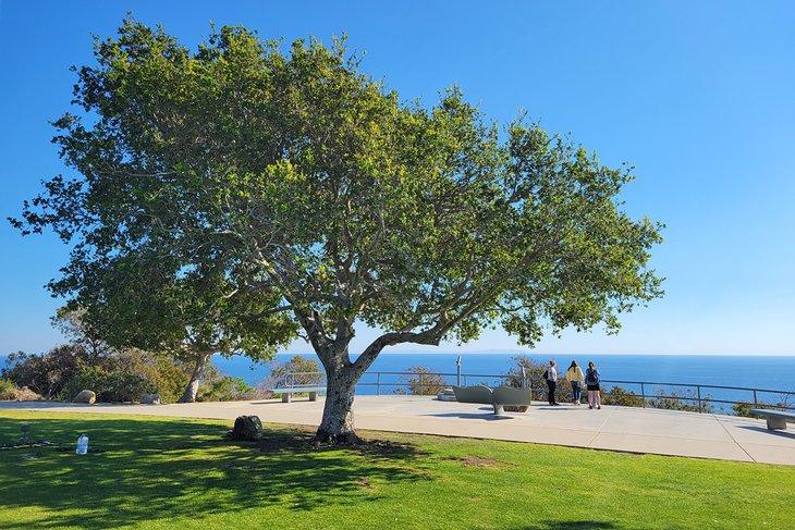 Parc Malibu Bluffs