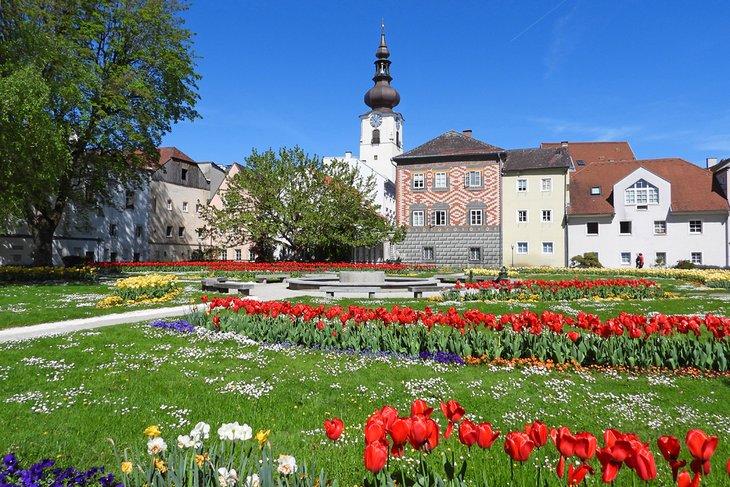 Tulipes fleurissant dans un parc de Wels