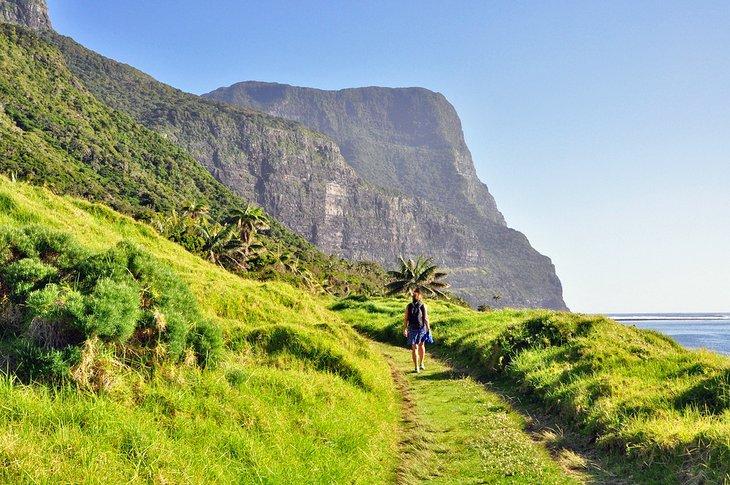 Caminata al Monte Gower, Isla Lord Howe