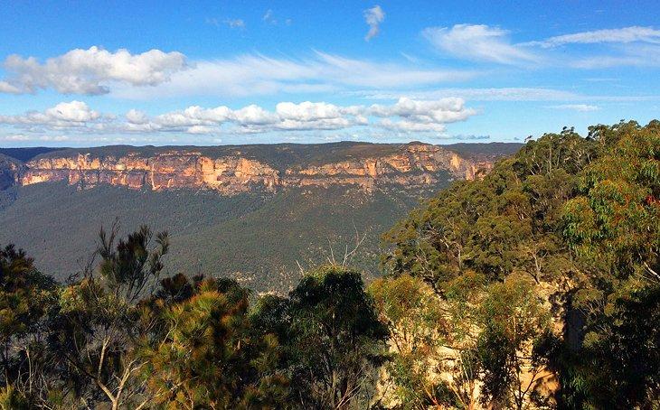 Bosque Blue Gum, Montañas Azules, Nueva Gales del Sur