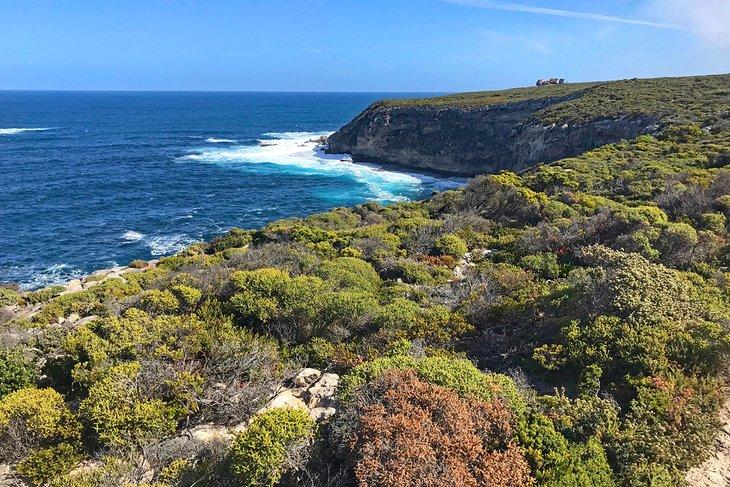 Sendero de Wilderness en la Isla Canguro