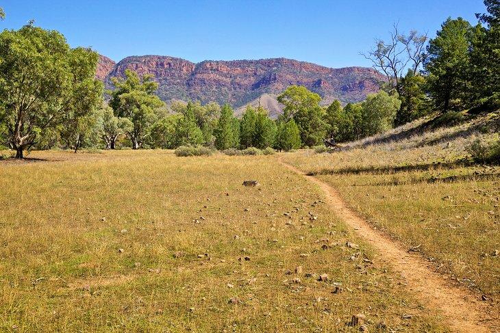 Caminata Yuluna, parte del Sendero Heysen en las Montañas Flinders