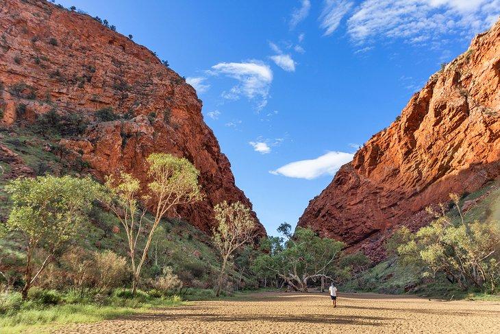 Simpson's Gap a lo largo del Sendero Larapinta