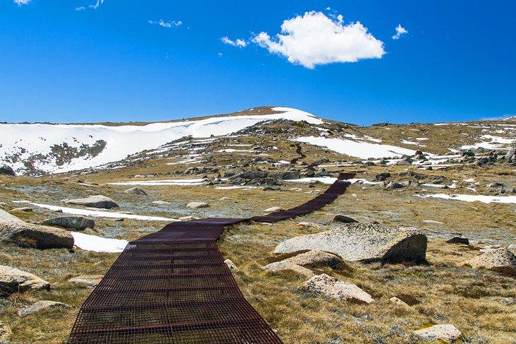 Caminata Kosciuszko, Nueva Gales del Sur