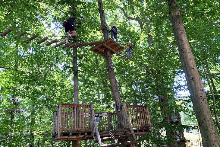 Un sentier à travers les arbres au Parc d'Aventure