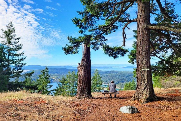 Den Ausblick von einer Bank im Turtleback Mountain Preserve genießen