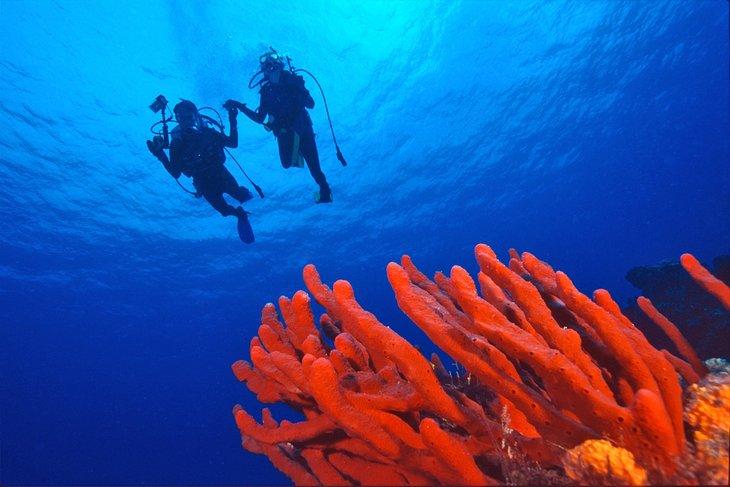 Buzos en Cozumel