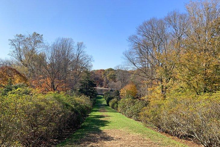 Un sendero frondoso lleva a un estanque en el Arboreto de Connecticut College