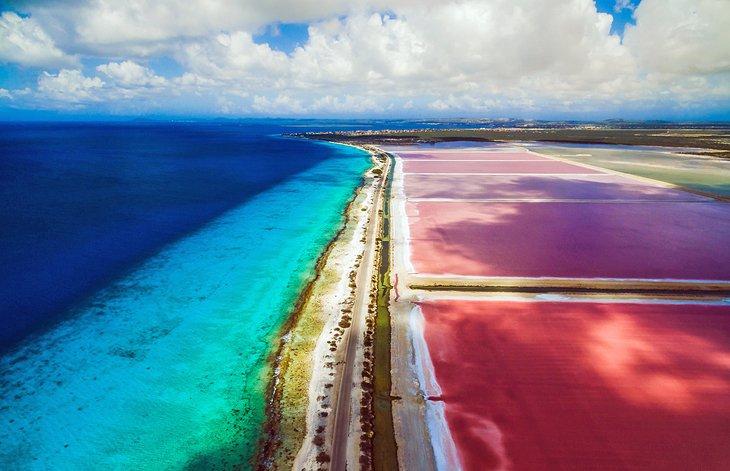 Salinas de Bonaire