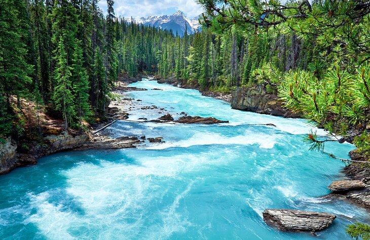 Río Kicking Horse