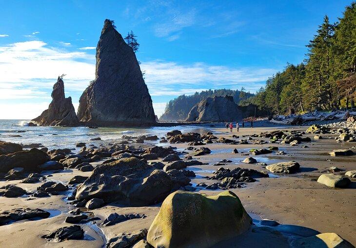 Playa Rialto, Parque Nacional Olímpico