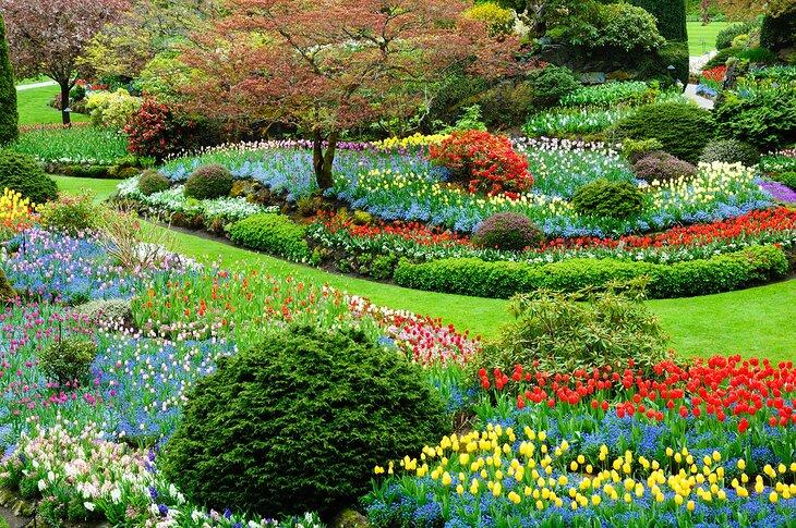 Jardines Butchart en Victoria, Columbia Británica