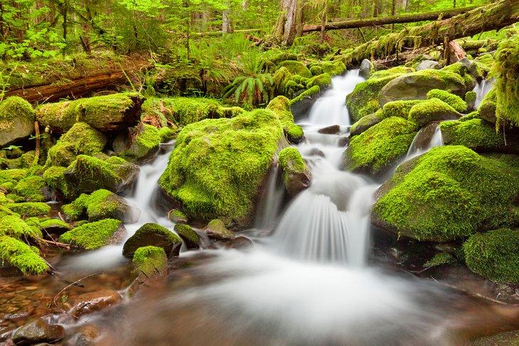Cascadas Sol Duc