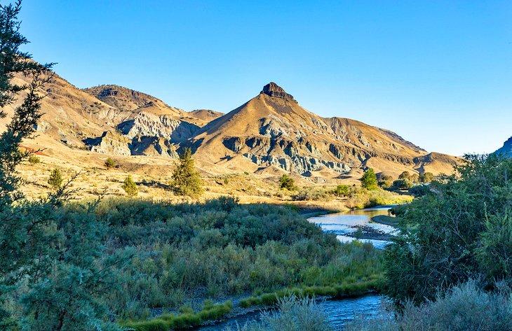 Schaf Felsen Einheit, John Day Fossil Beds