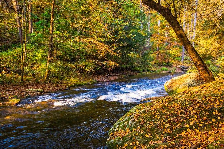 Parque Estatal Gunpowder Falls
