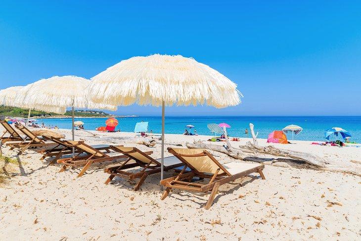 Parasols et chaises longues sur la Plage de Bodri