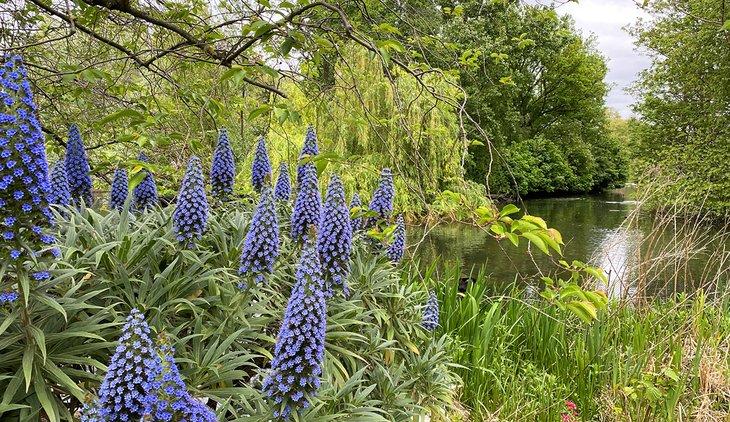 Parc de St James