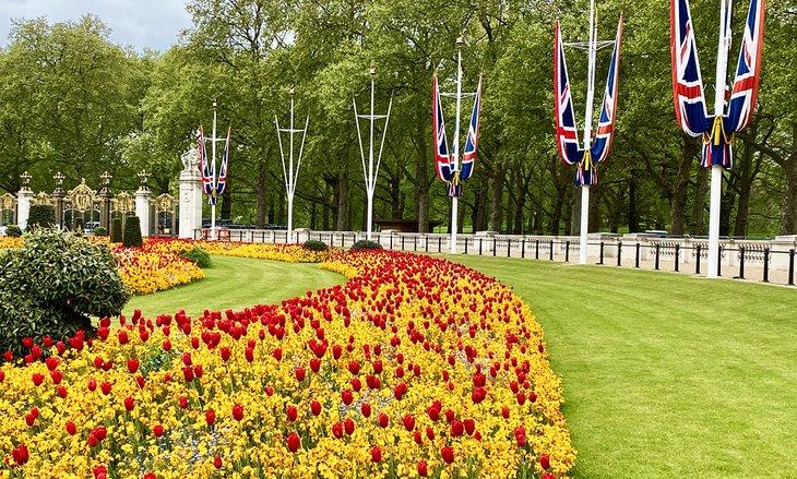 Tulipes en fleurs dans le parc St. James